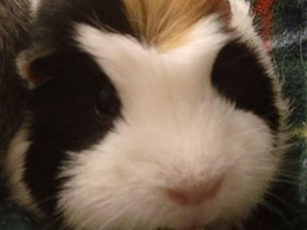 2020-07-30-00-29-54 Emily.jpg